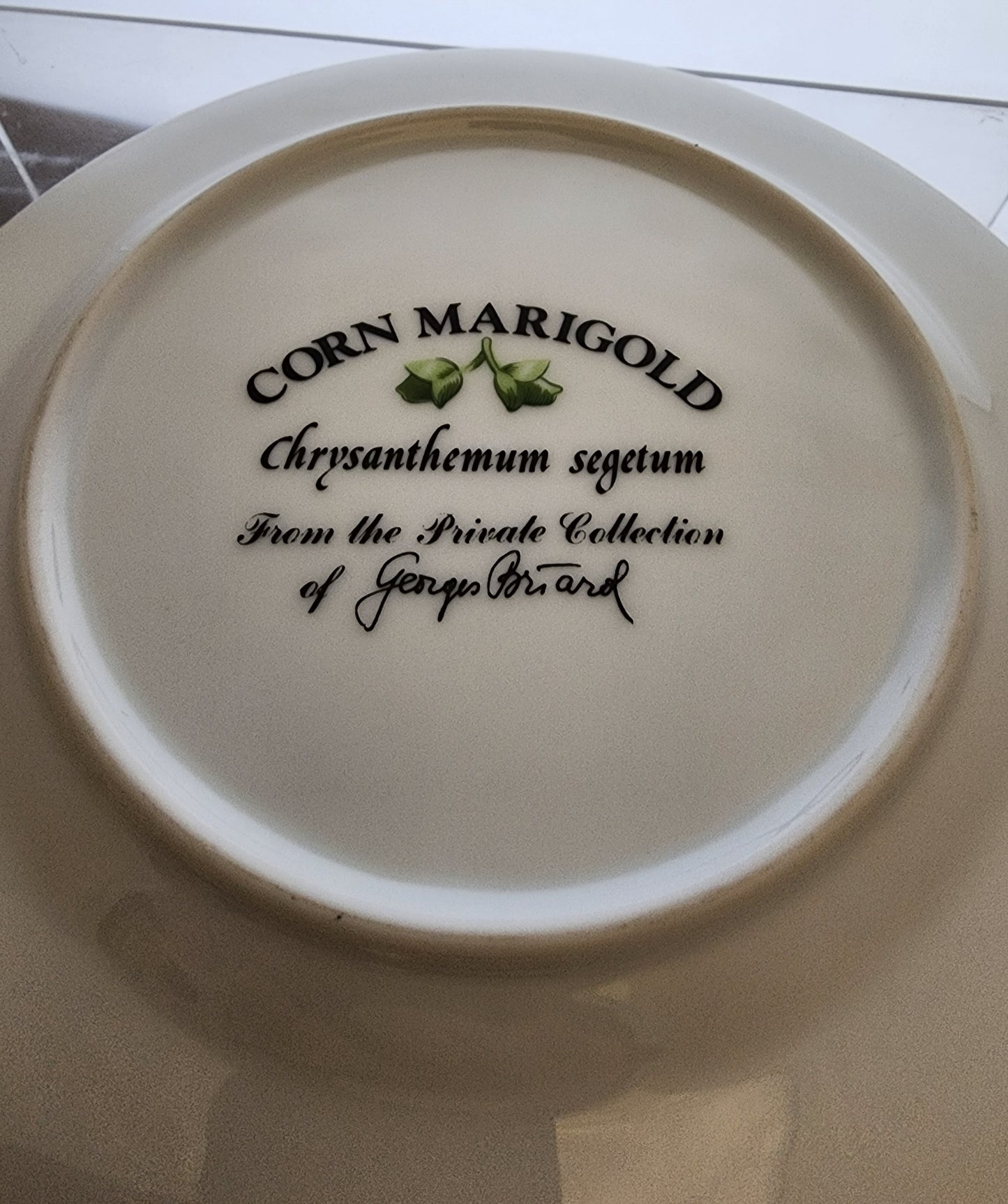 4 corn marigold cyclamen texas bluebonnet Birds foot violet china side pates