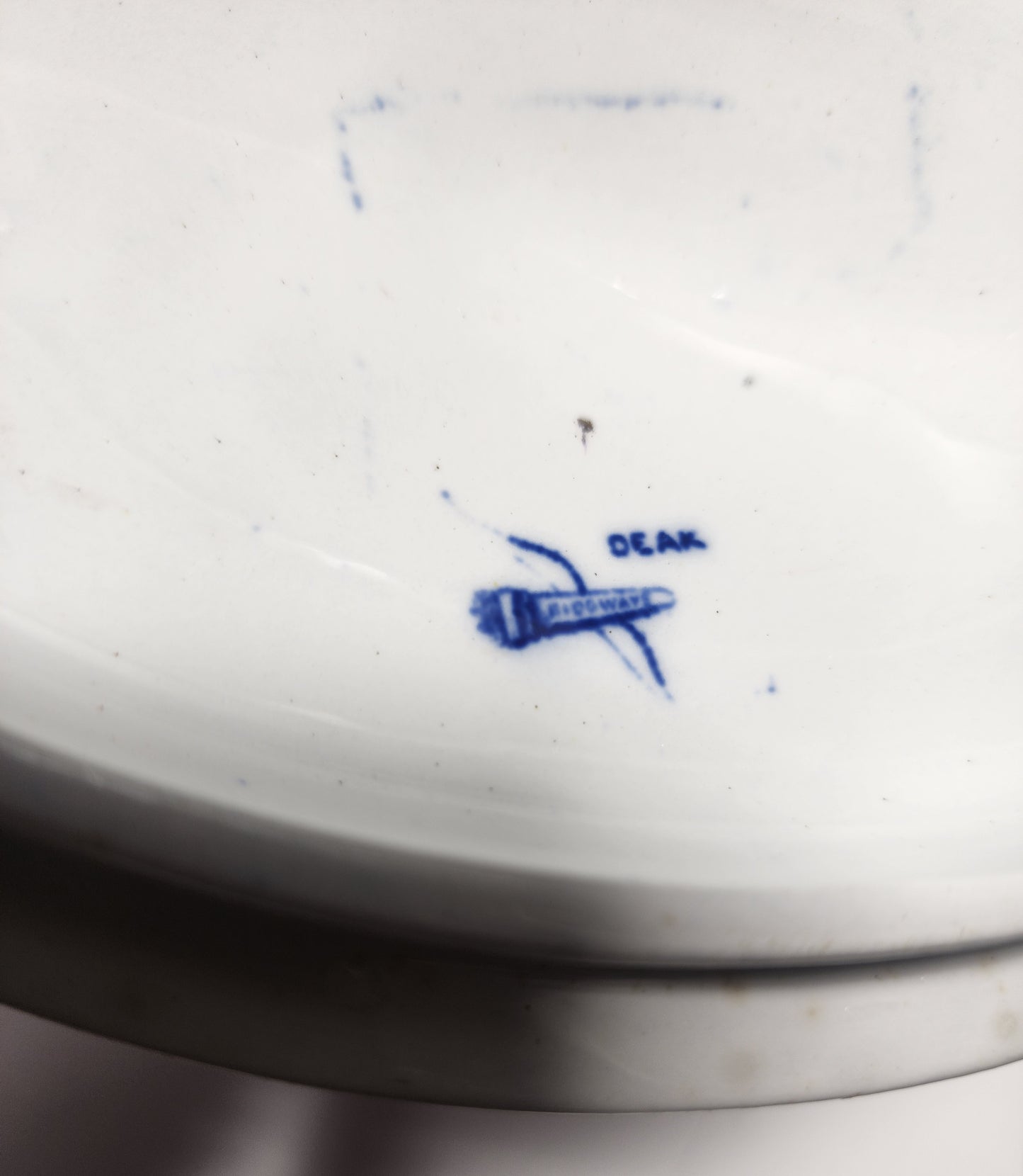 Blue a nd white soups Tureen