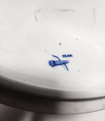 Blue a nd white soups Tureen