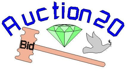 Auction 20