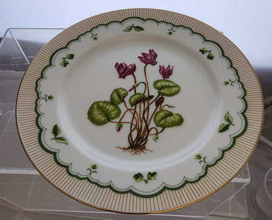 4 corn marigold cyclamen texas bluebonnet Birds foot violet china side pates